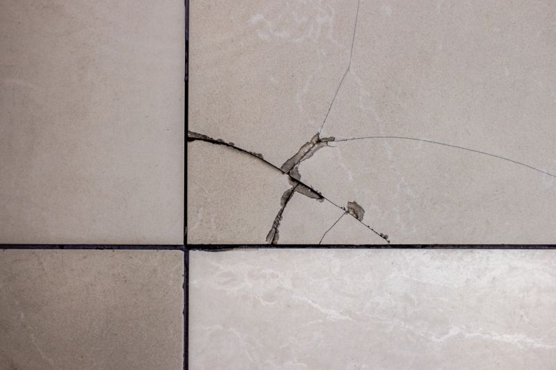 Specialized Tile Repair Teams